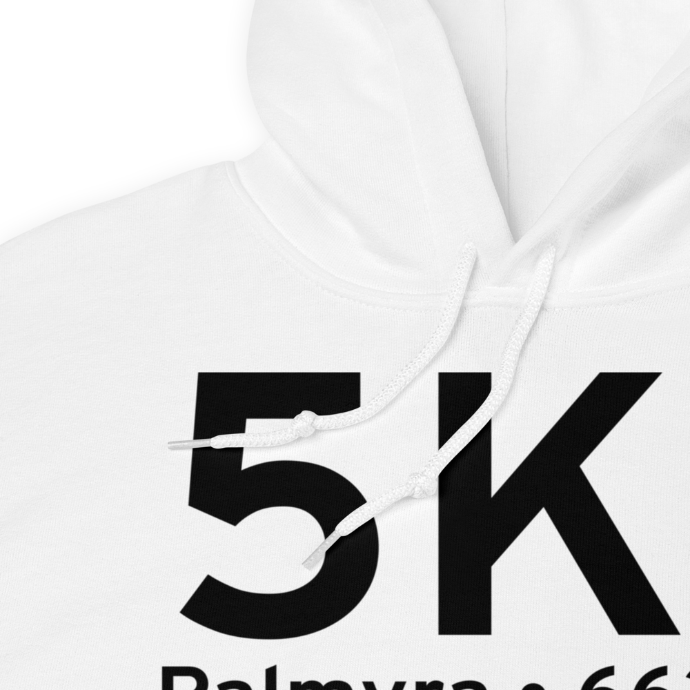 Palmyra (K5K1) Airport Hoodie Sweatshirt 