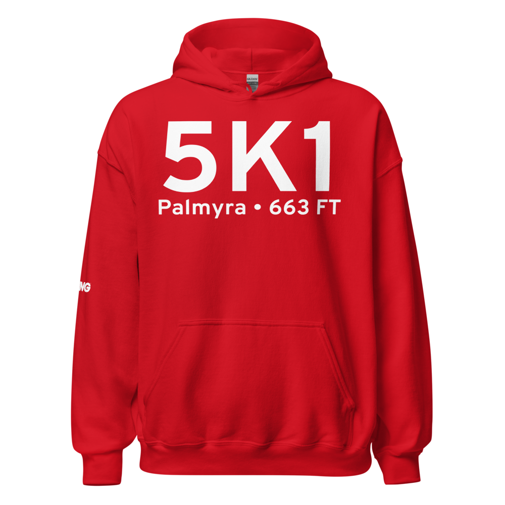 Palmyra (K5K1) Airport Hoodie Sweatshirt 