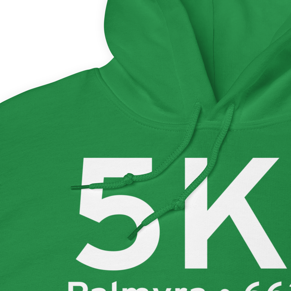Palmyra (K5K1) Airport Hoodie Sweatshirt 
