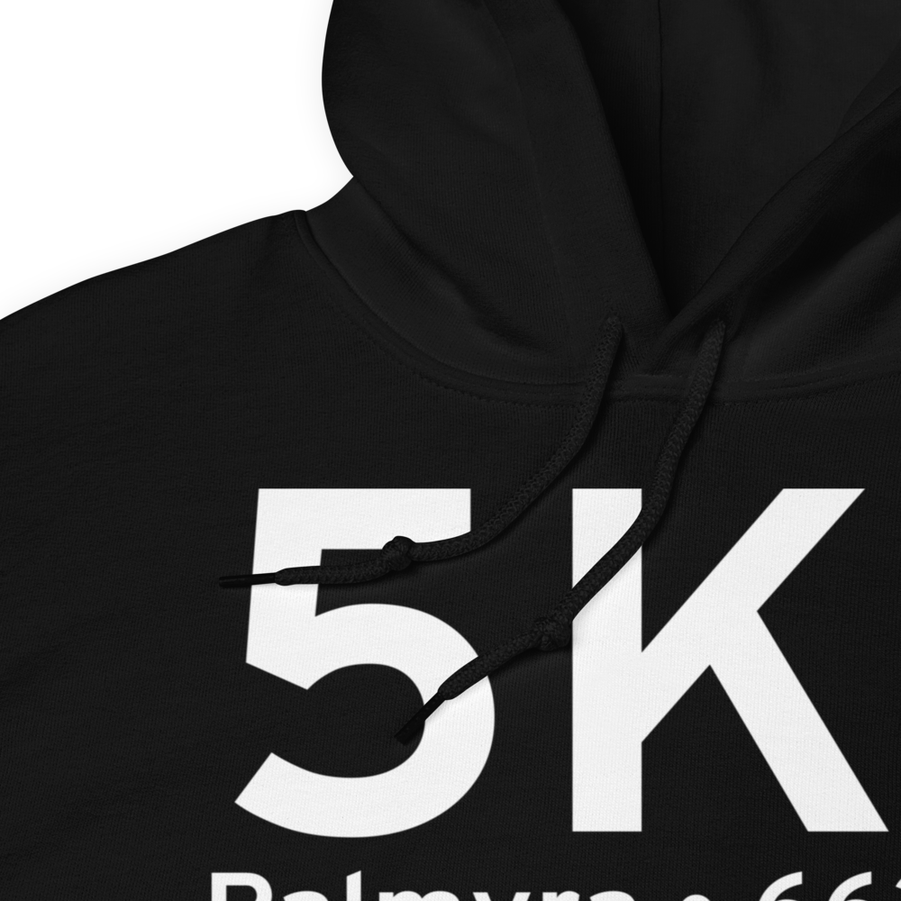 Palmyra (K5K1) Airport Hoodie Sweatshirt 