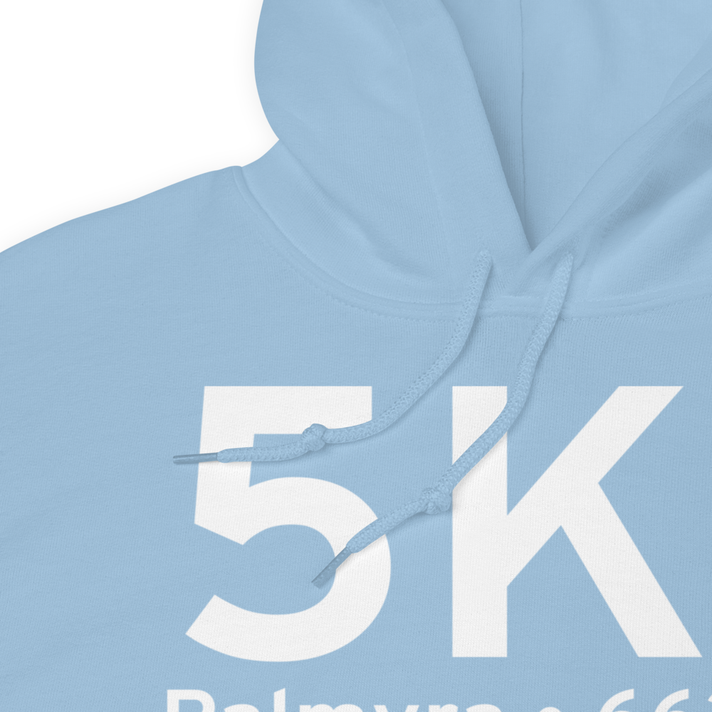 Palmyra (K5K1) Airport Hoodie Sweatshirt 