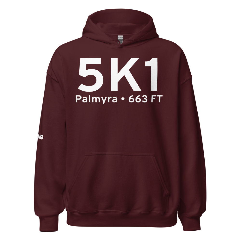 Palmyra (K5K1) Airport Hoodie Sweatshirt 