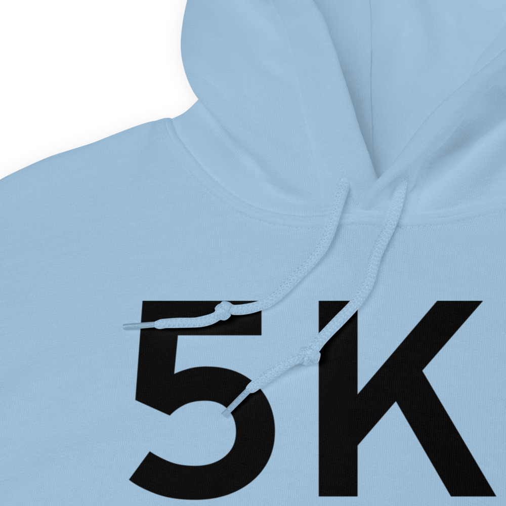 Palmyra (K5K1) Airport Hoodie Sweatshirt 
