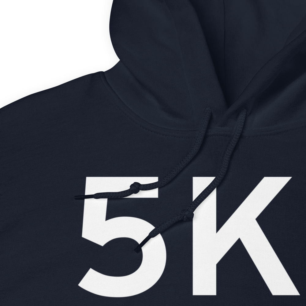 Palmyra (K5K1) Airport Hoodie Sweatshirt 