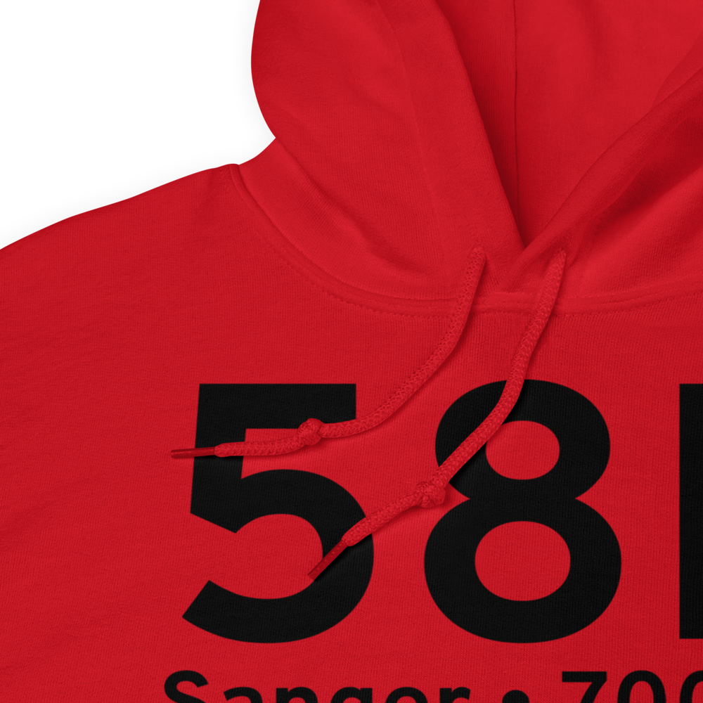 Sanger (58F) Airport Hoodie Sweatshirt 