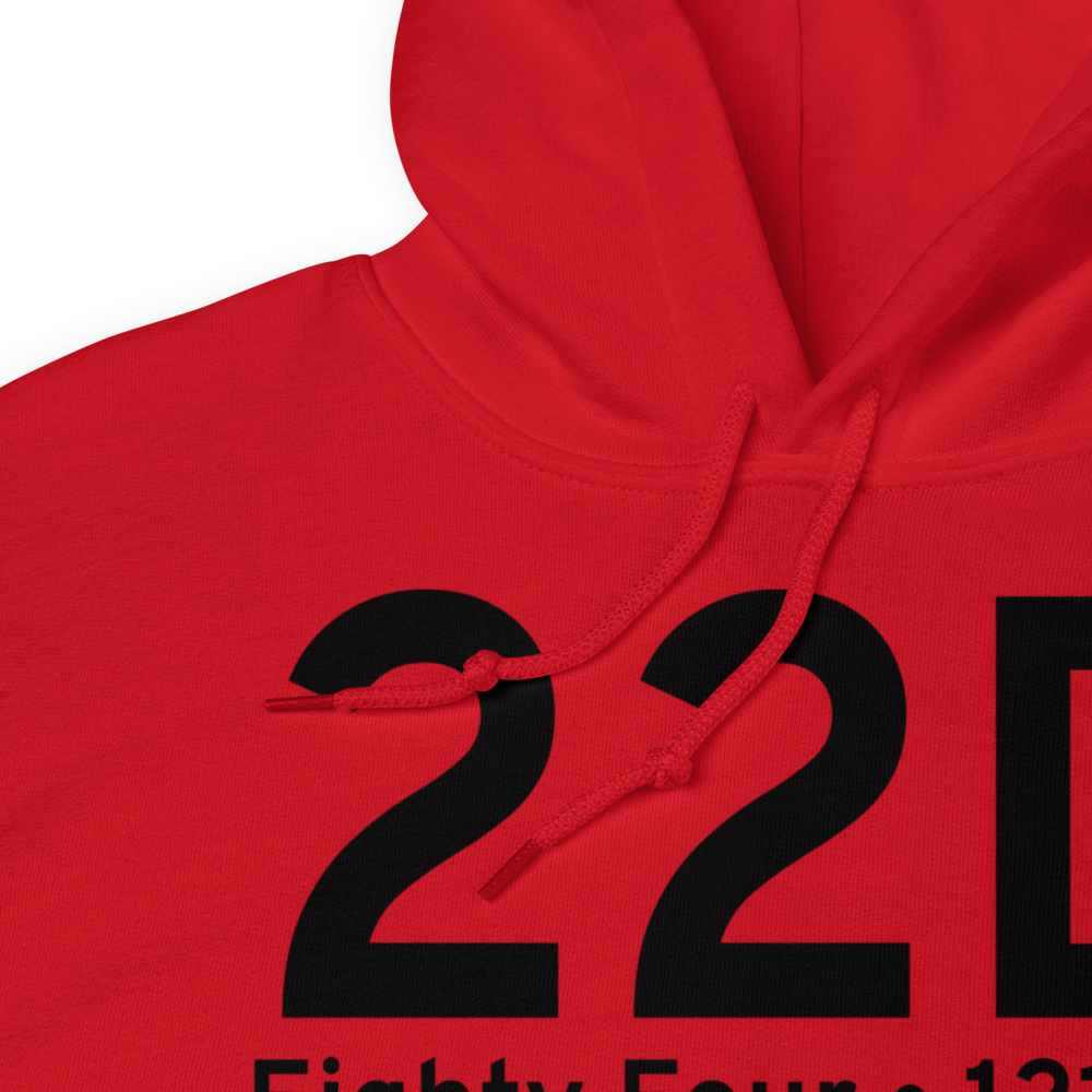 Eighty Four (22D) Airport Hoodie Sweatshirt 