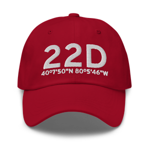 Eighty Four (22D) Airport Hat