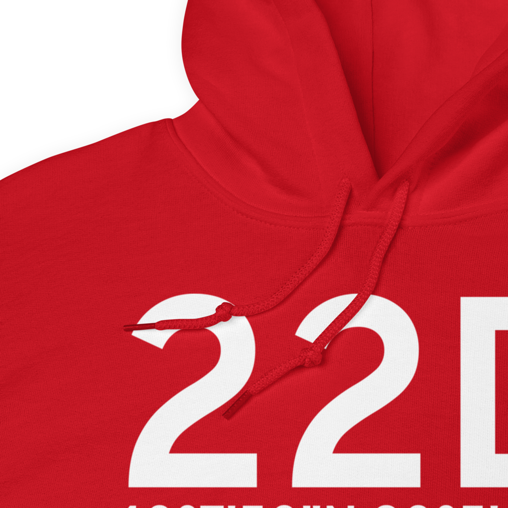 Eighty Four (22D) Airport Hoodie Sweatshirt 