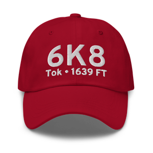 Tok (PFTO) Airport Hat