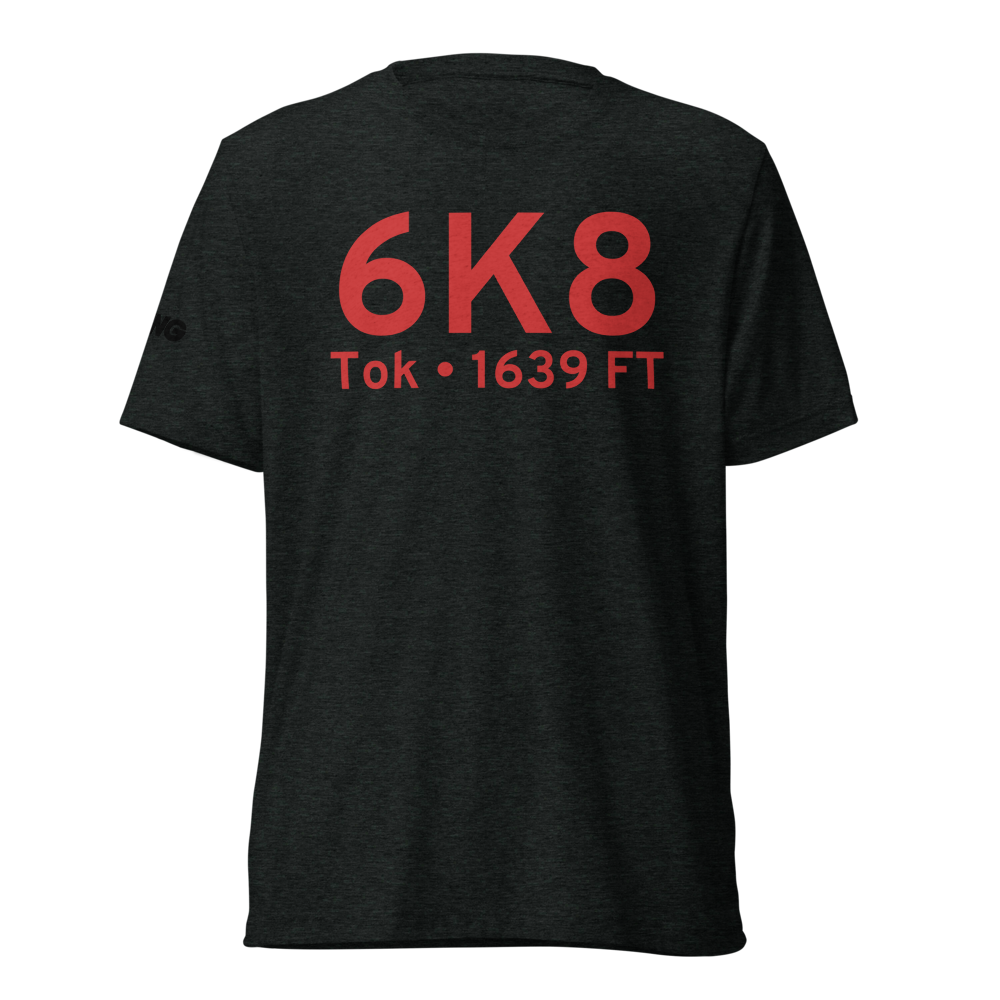Tok (PFTO) Airport Tri-blend T-Shirt 