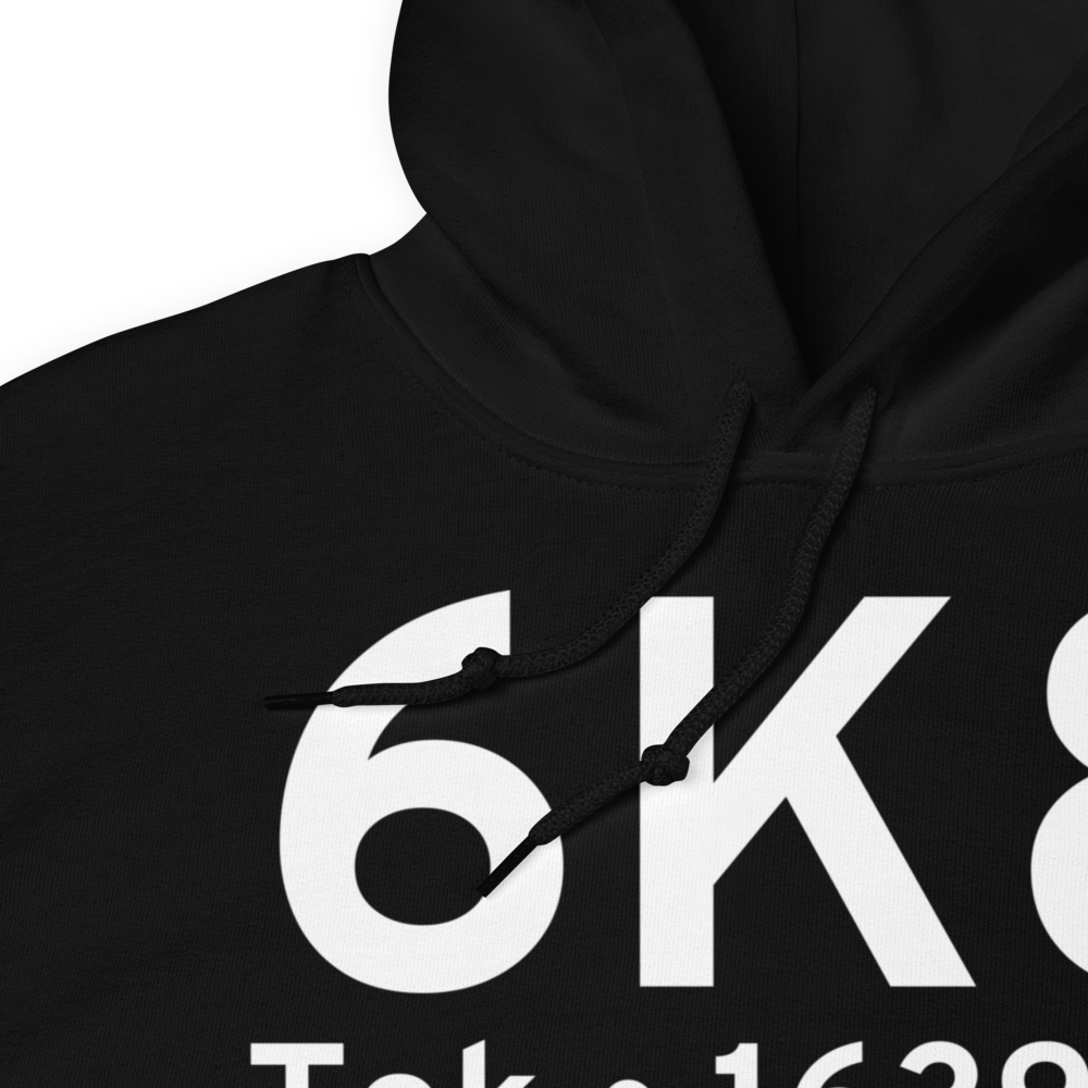 Tok (PFTO) Airport Hoodie Sweatshirt 