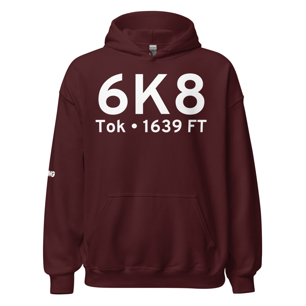 Tok (PFTO) Airport Hoodie Sweatshirt 