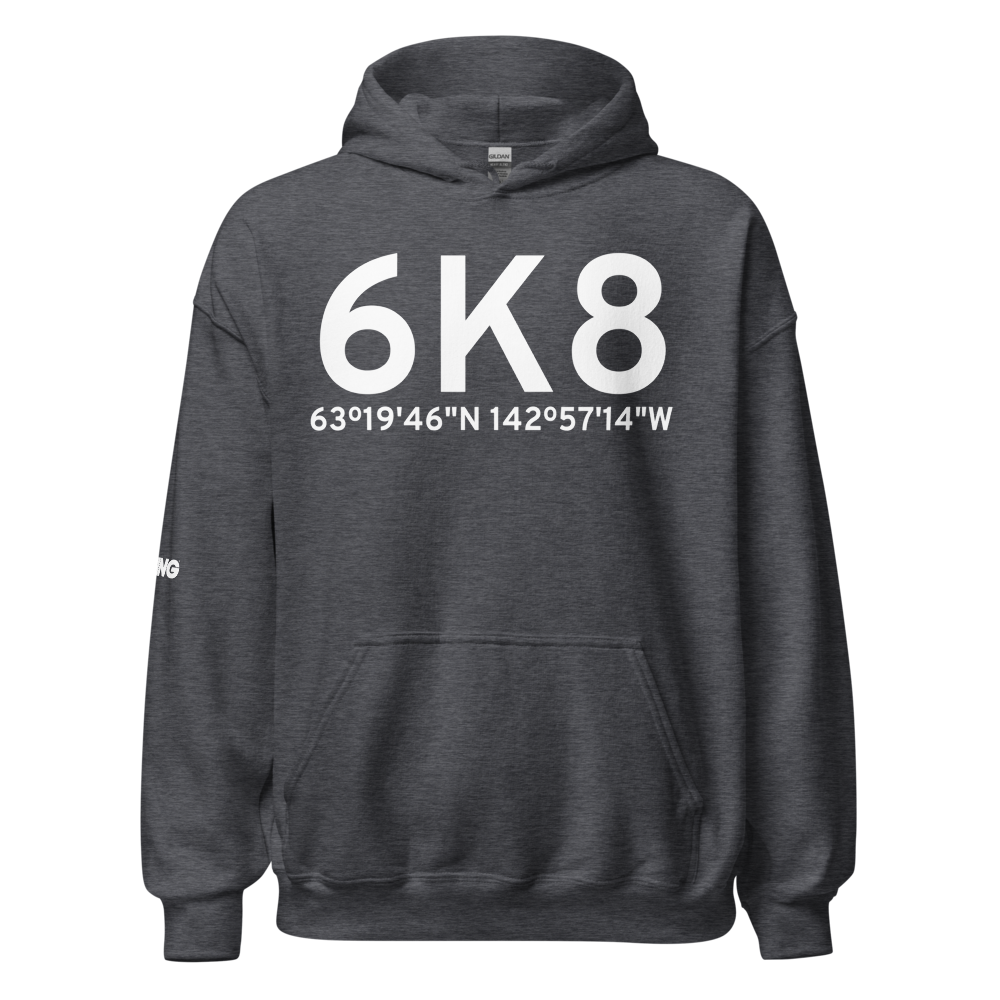 Tok (PFTO) Airport Hoodie Sweatshirt 
