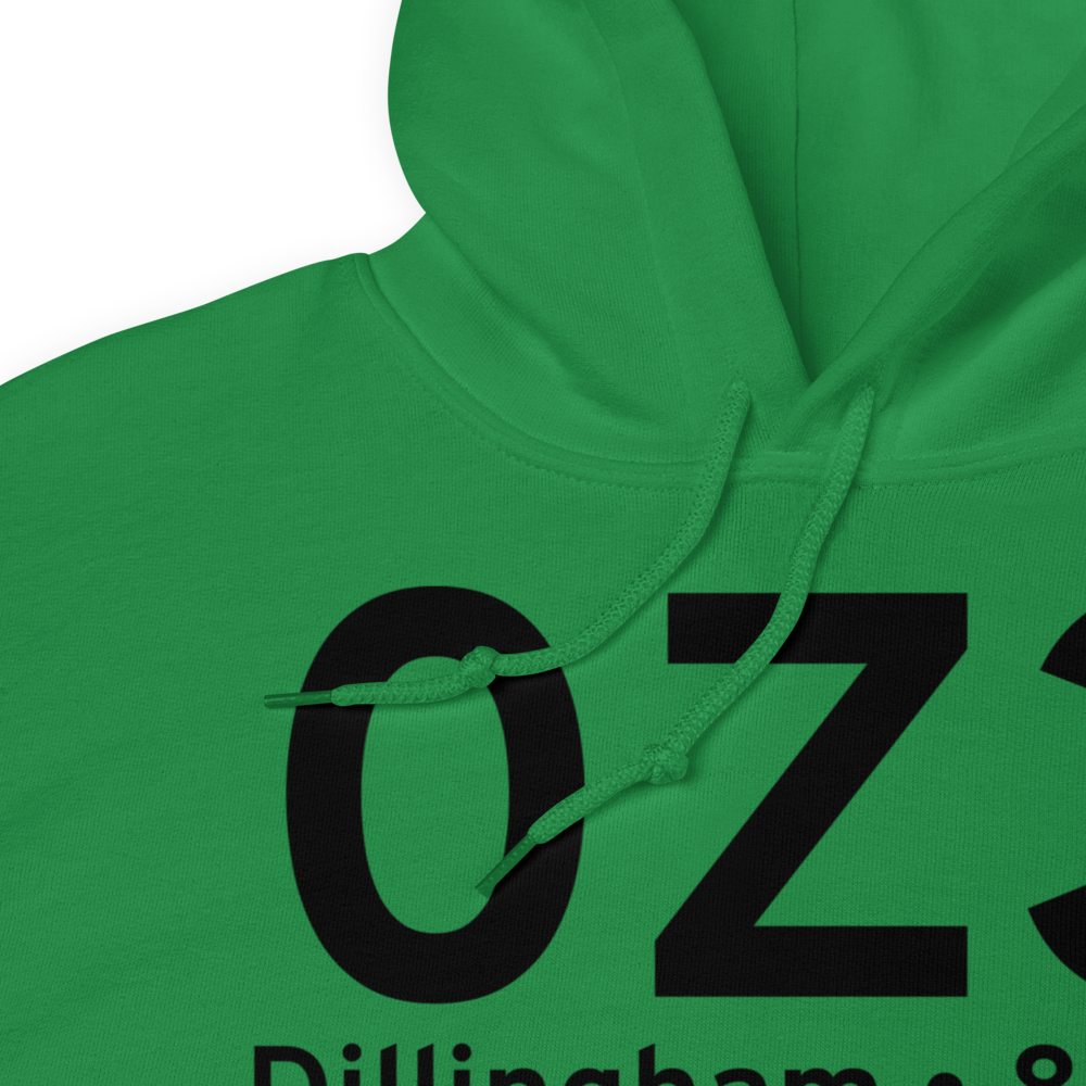 Dillingham (0Z3) Airport Hoodie Sweatshirt 
