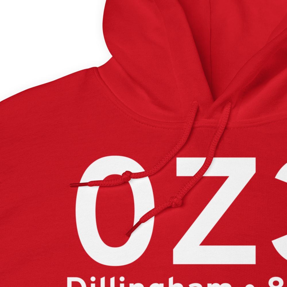 Dillingham (0Z3) Airport Hoodie Sweatshirt 