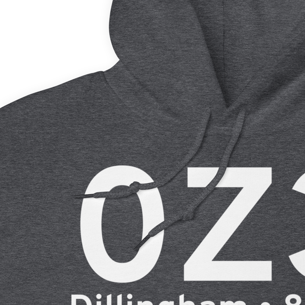 Dillingham (0Z3) Airport Hoodie Sweatshirt 