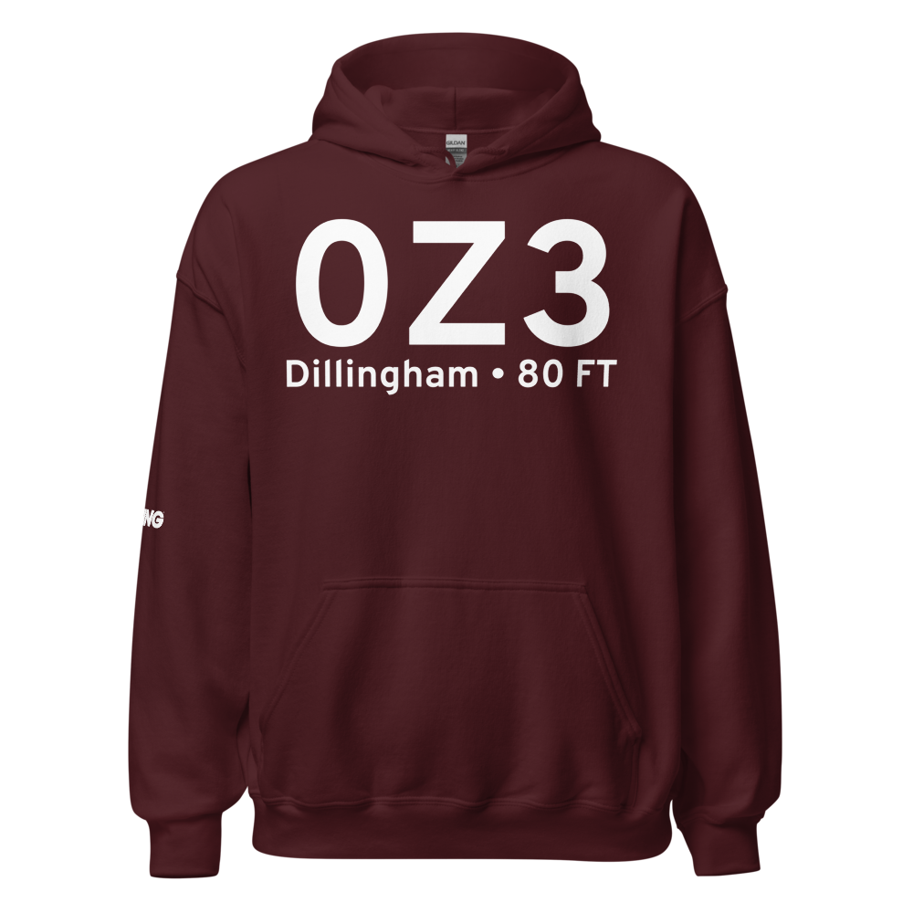 Dillingham (0Z3) Airport Hoodie Sweatshirt 