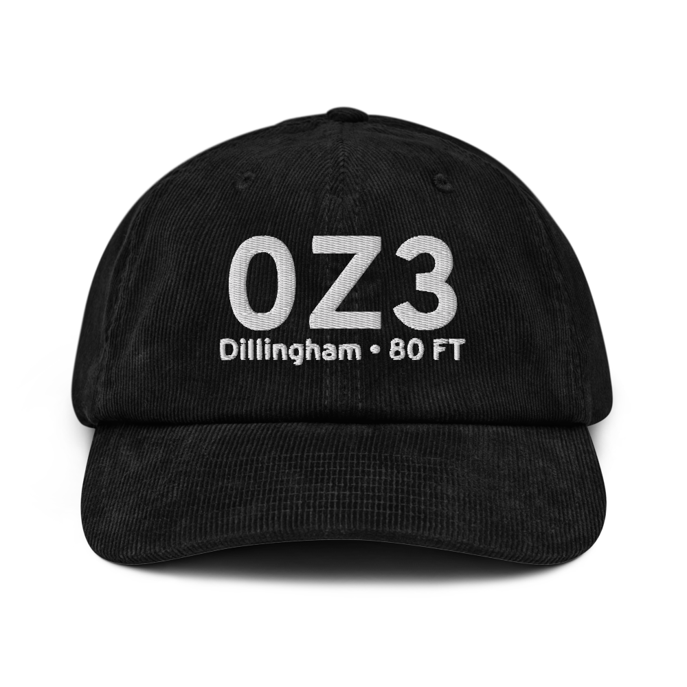 Dillingham (0Z3) Airport Hat 