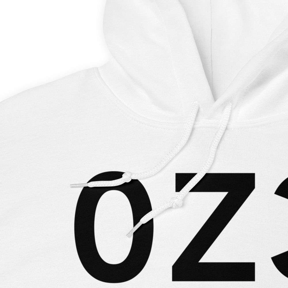 Dillingham (0Z3) Airport Hoodie Sweatshirt 