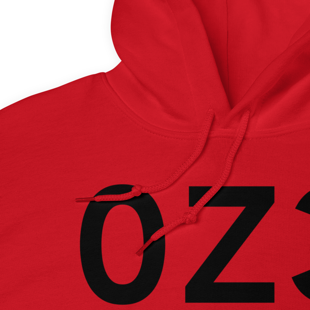 Dillingham (0Z3) Airport Hoodie Sweatshirt 