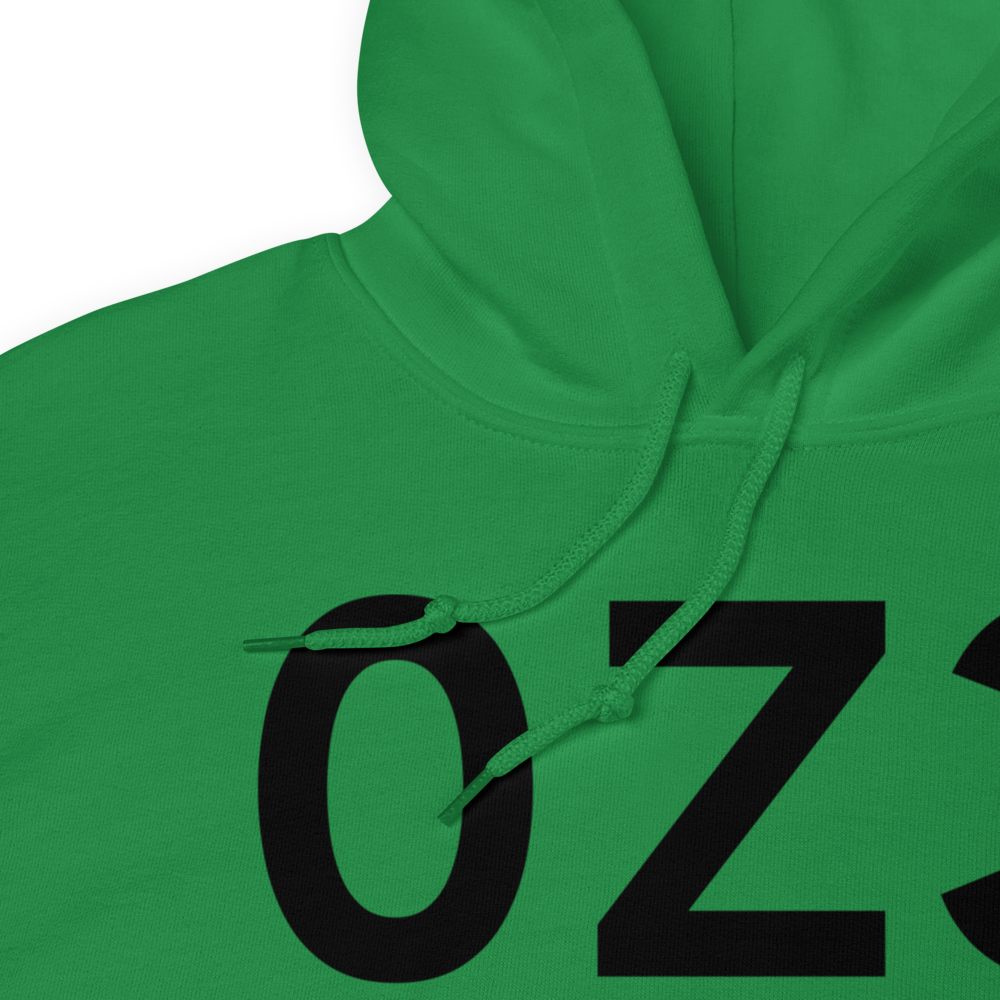 Dillingham (0Z3) Airport Hoodie Sweatshirt 