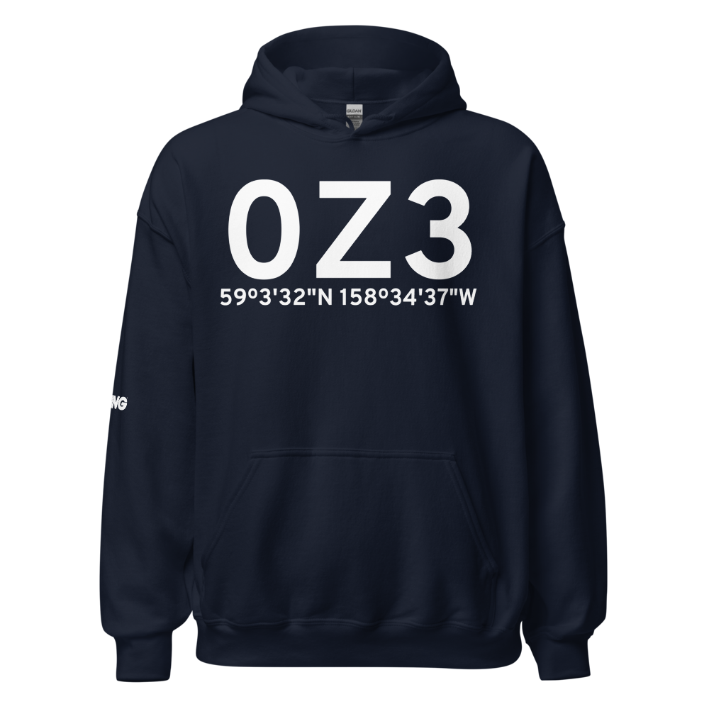 Dillingham (0Z3) Airport Hoodie Sweatshirt 