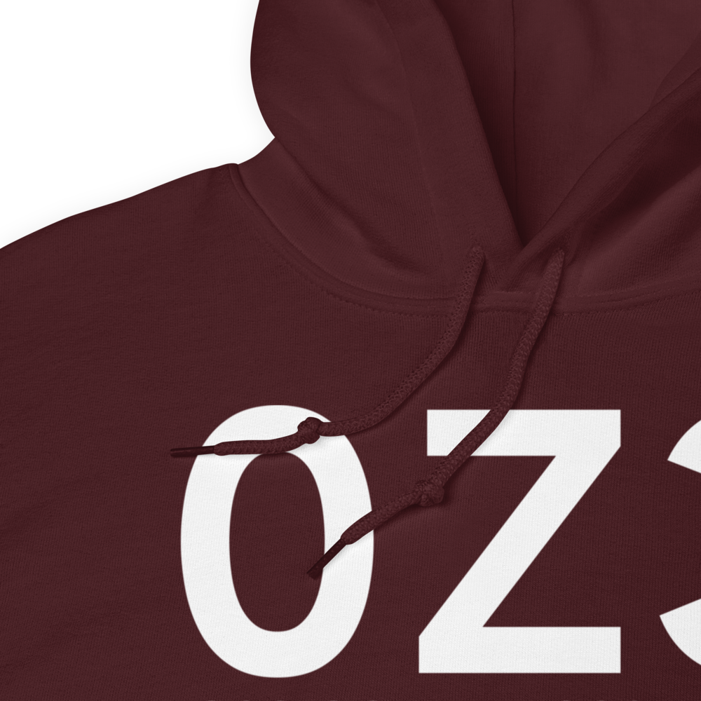 Dillingham (0Z3) Airport Hoodie Sweatshirt 