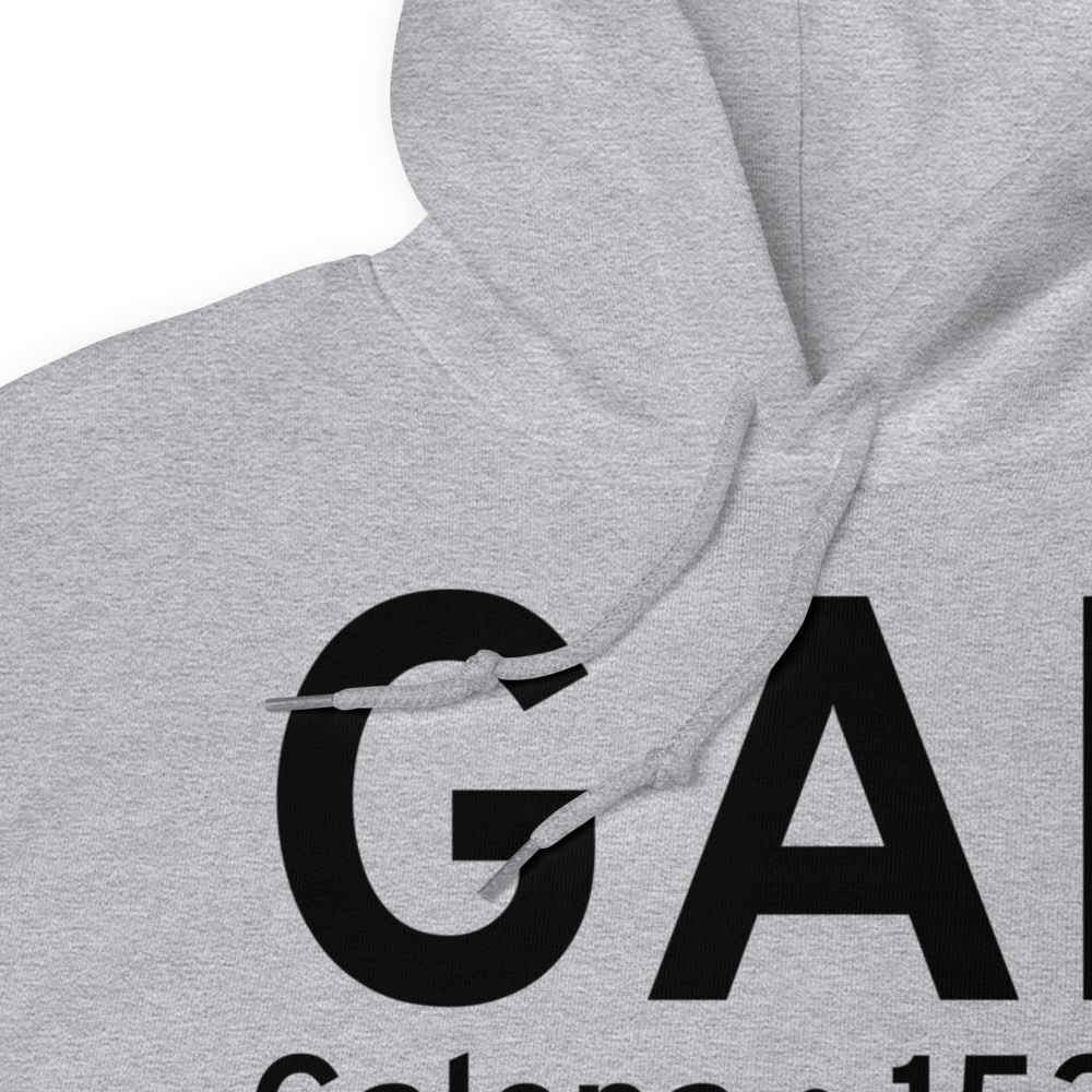 Galena (PAGA) Airport Hoodie Sweatshirt 