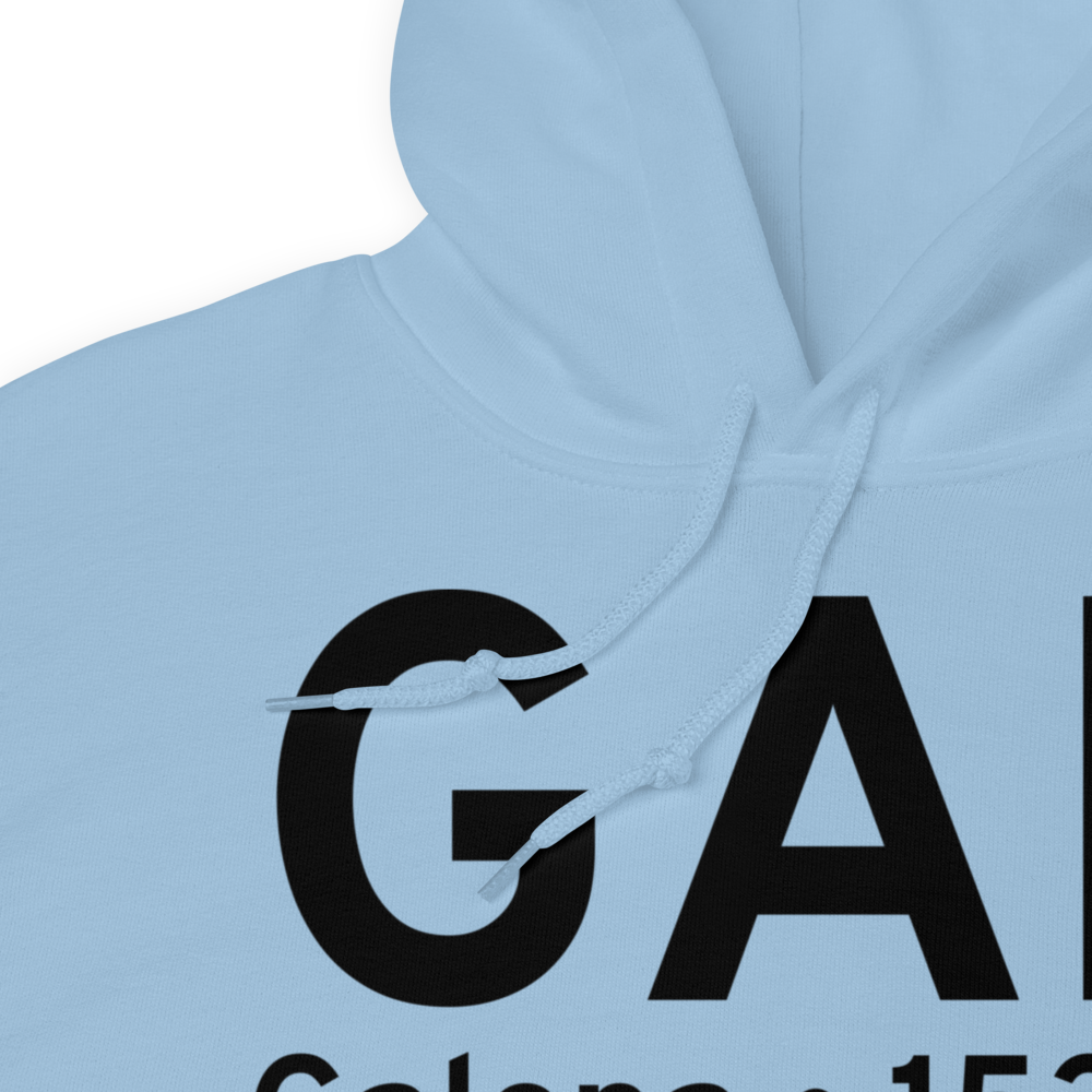 Galena (PAGA) Airport Hoodie Sweatshirt 