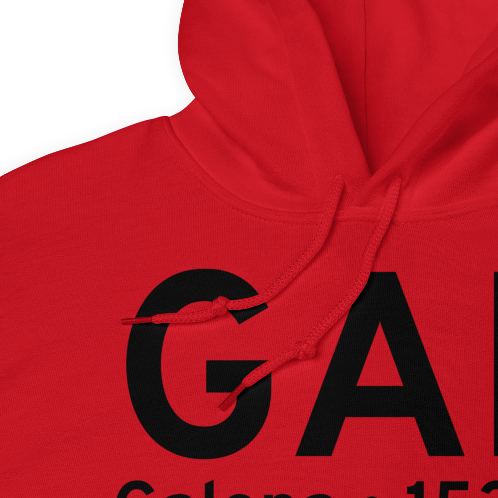 Galena (PAGA) Airport Hoodie Sweatshirt 