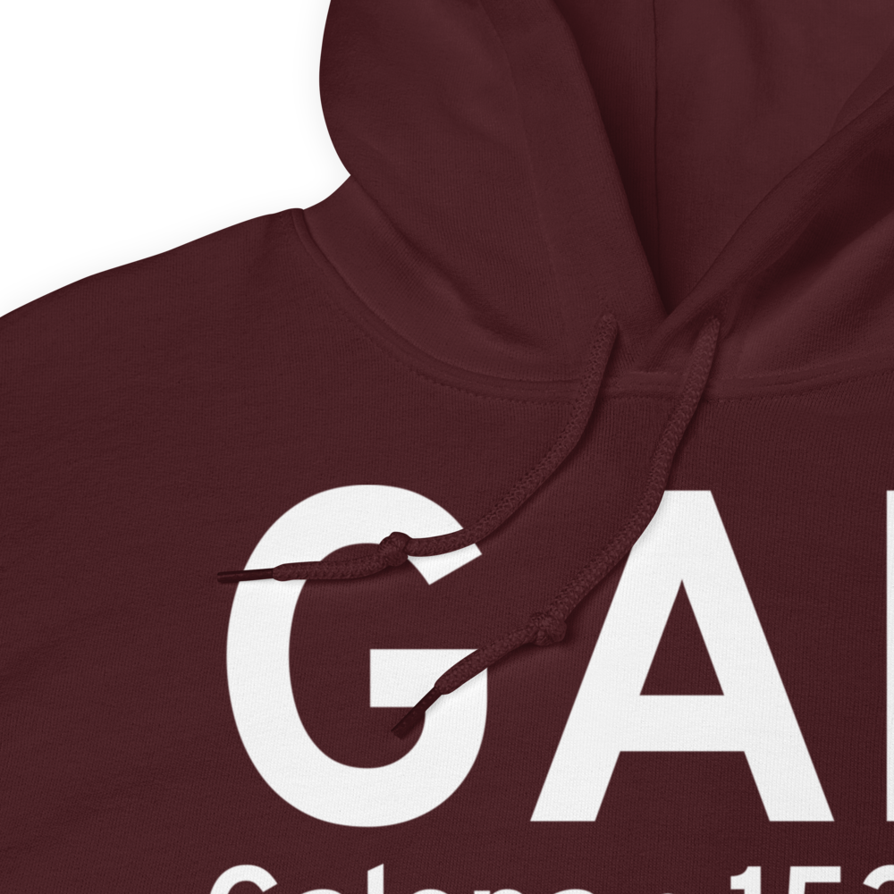 Galena (PAGA) Airport Hoodie Sweatshirt 