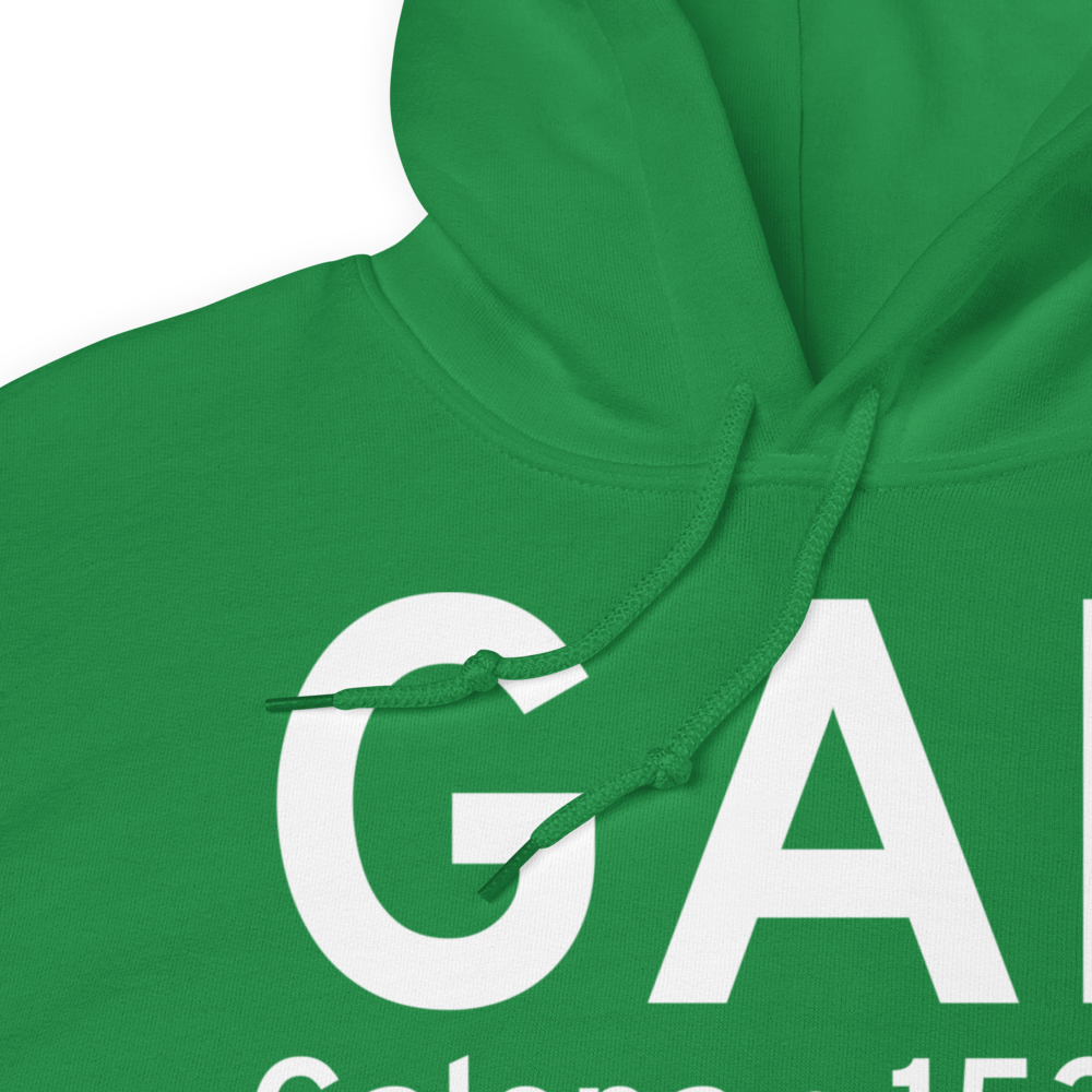 Galena (PAGA) Airport Hoodie Sweatshirt 