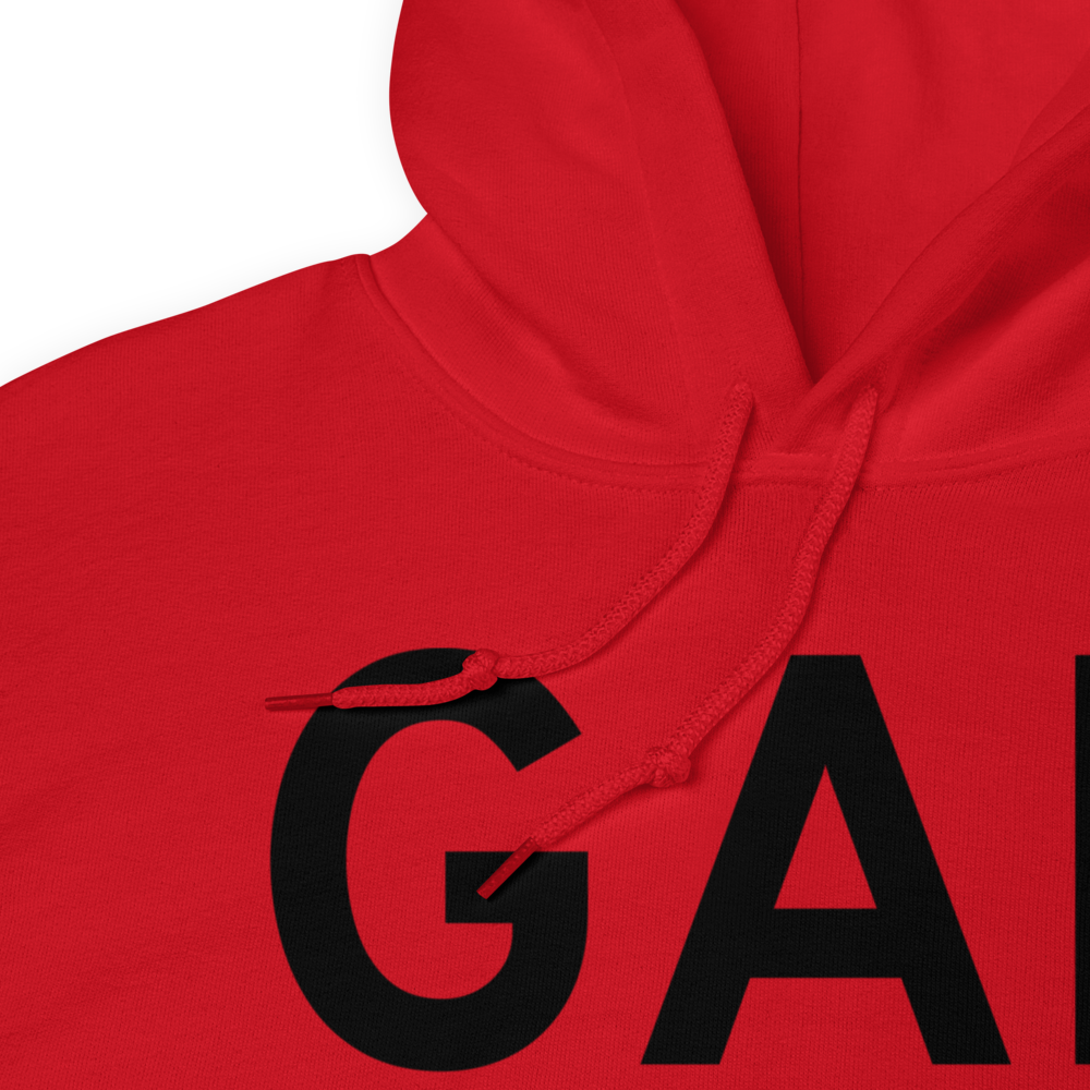 Galena (PAGA) Airport Hoodie Sweatshirt 