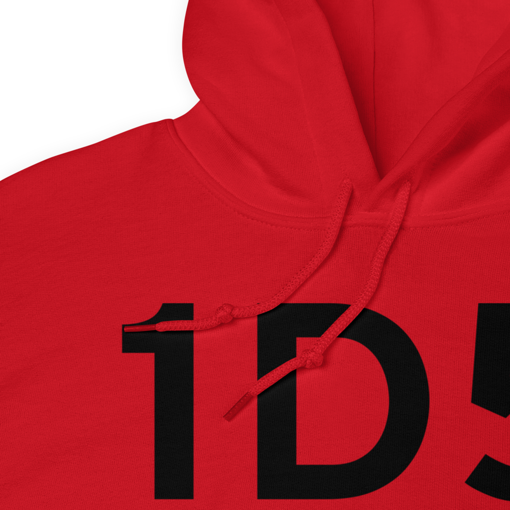 Chittenango (1D5) Airport Hoodie Sweatshirt 