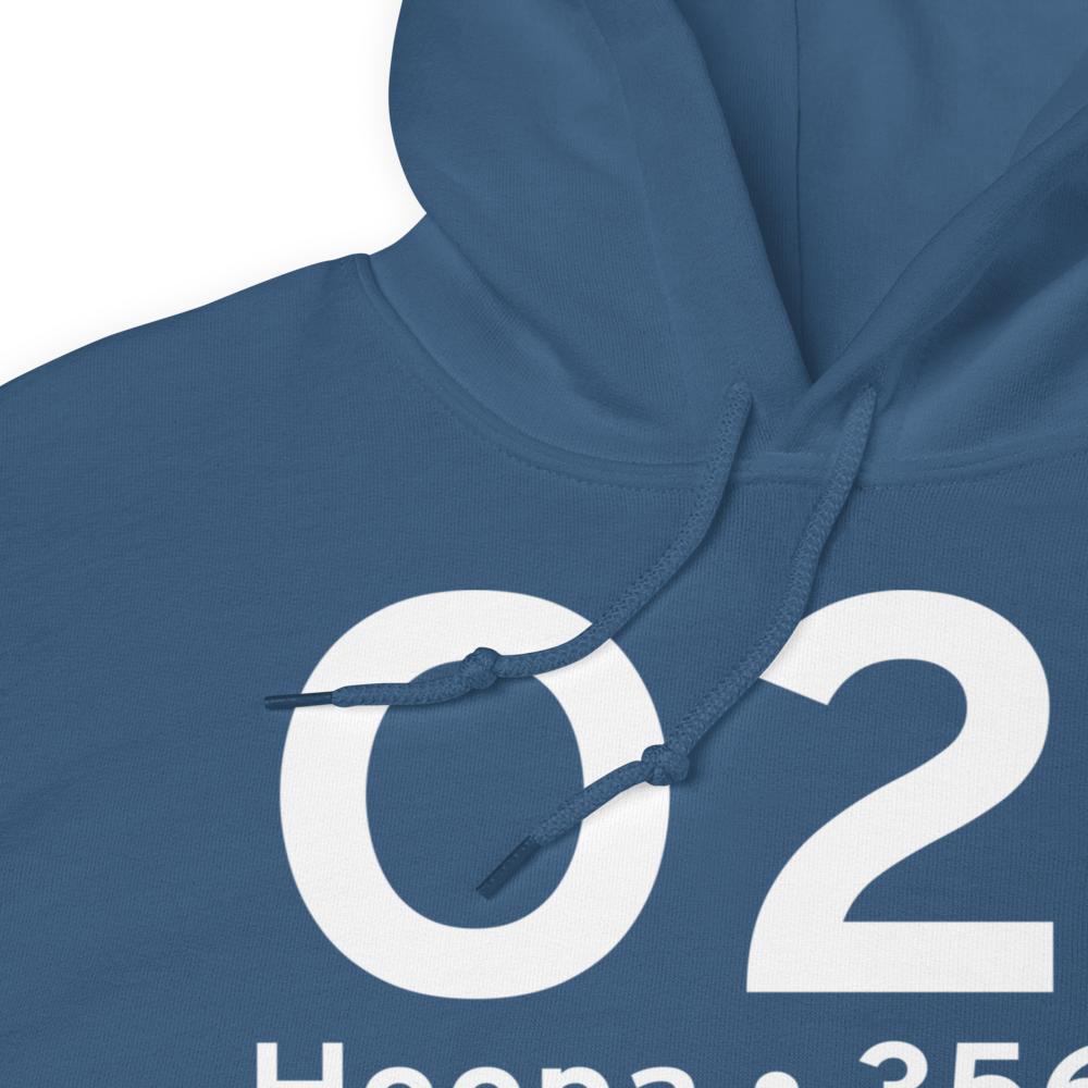 Hoopa (O21) Airport Hoodie Sweatshirt 