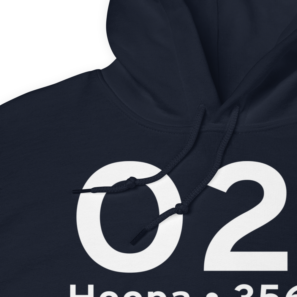 Hoopa (O21) Airport Hoodie Sweatshirt 
