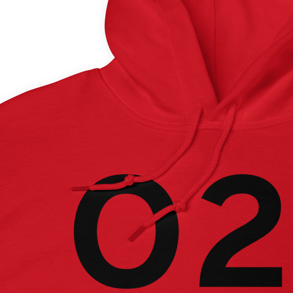 Hoopa (O21) Airport Hoodie Sweatshirt 