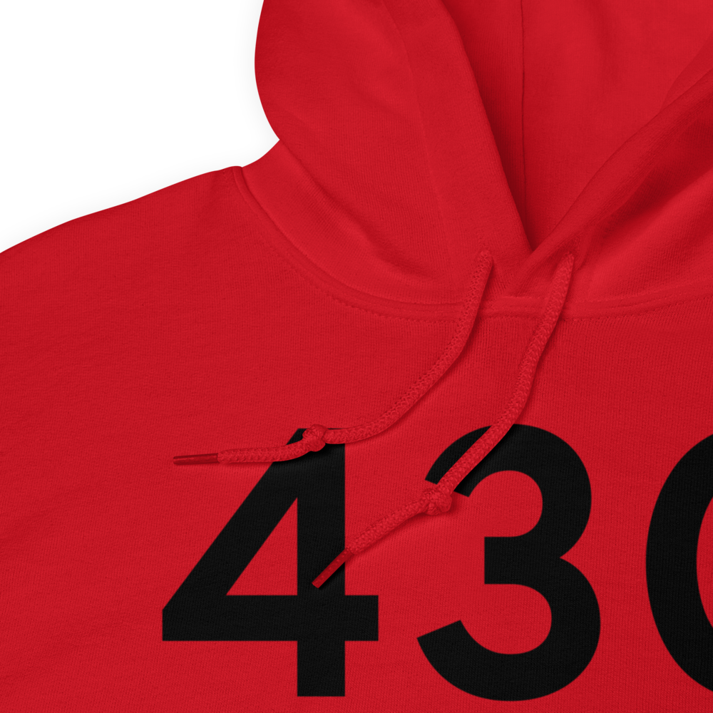 Belleville (43G) Airport Hoodie Sweatshirt 