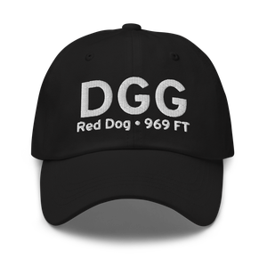 Red Dog (PADG) Airport Hat