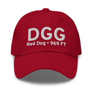 Red Dog (PADG) Airport Hat