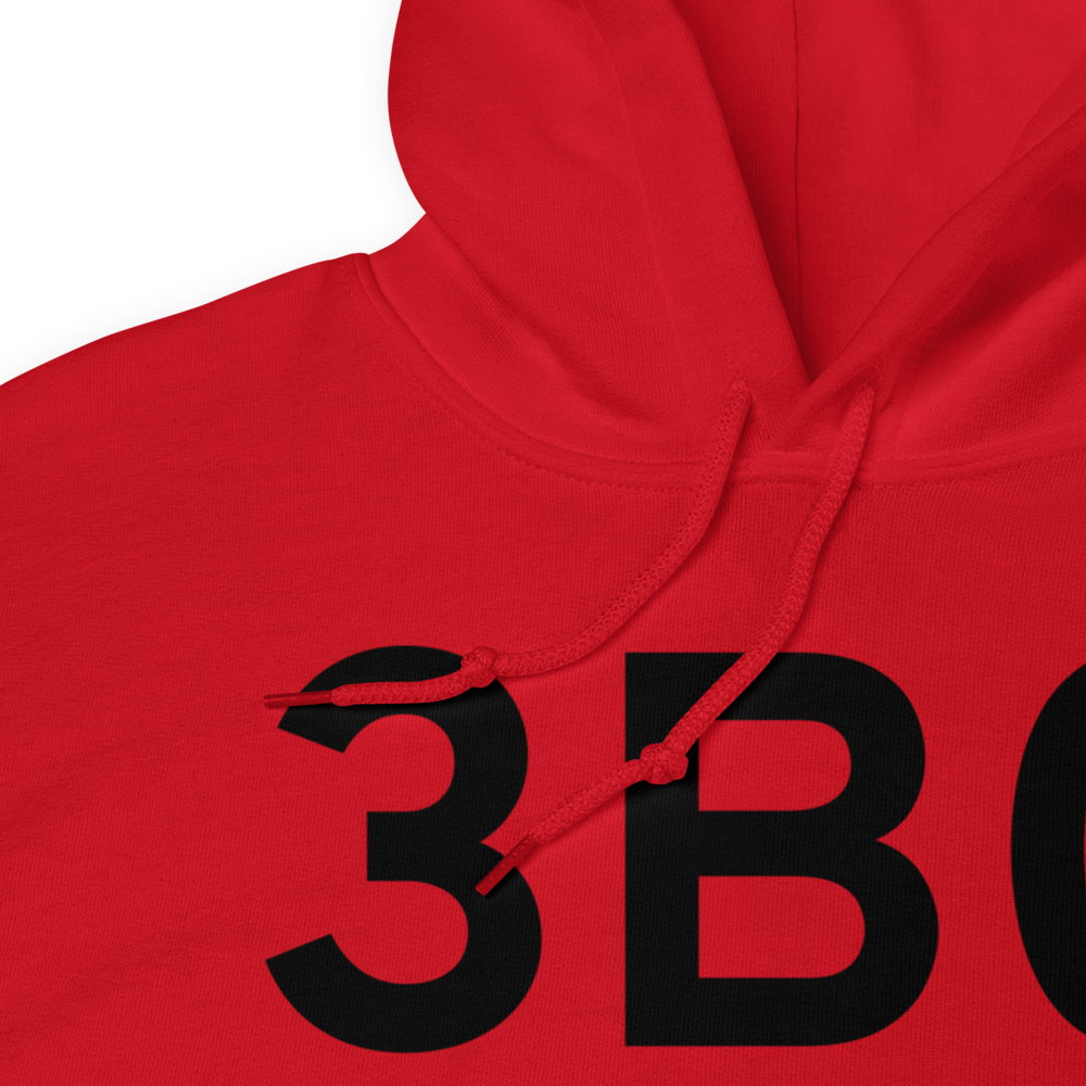 Southbridge (K3B0) Airport Hoodie Sweatshirt 