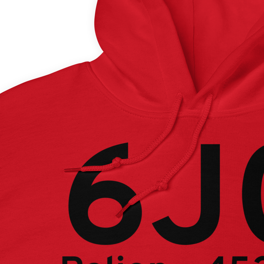 Pelion (K6J0) Airport Hoodie Sweatshirt 