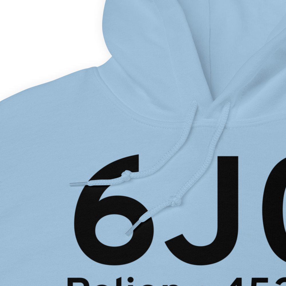 Pelion (K6J0) Airport Hoodie Sweatshirt 