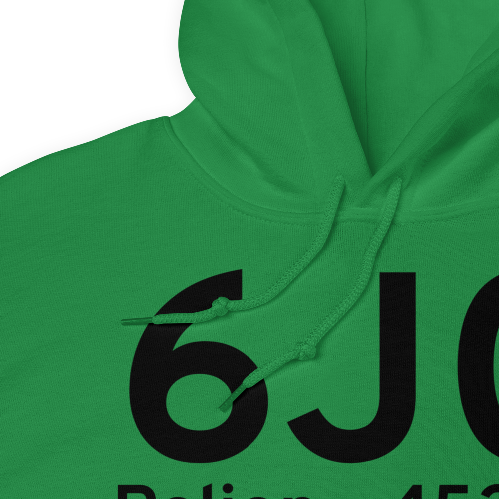 Pelion (K6J0) Airport Hoodie Sweatshirt 
