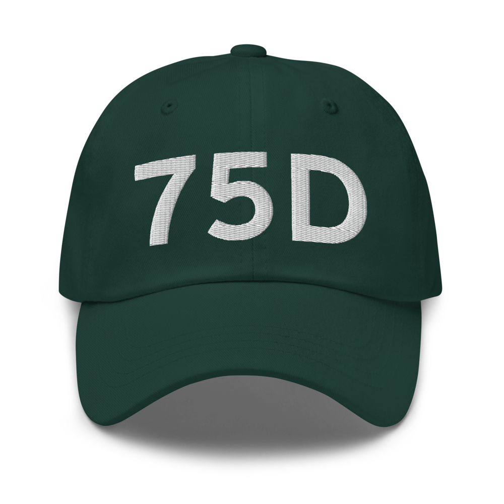 New Martinsville (75D) Airport Hat 