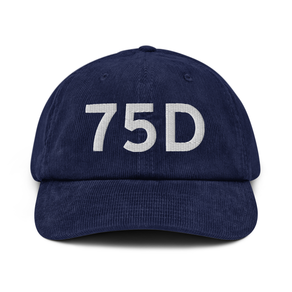 New Martinsville (75D) Airport Hat 