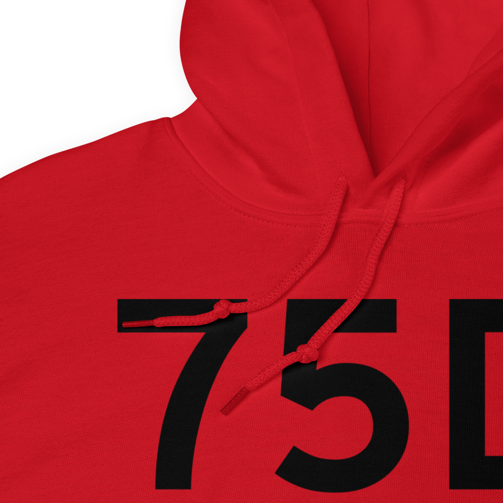 New Martinsville (75D) Airport Hoodie Sweatshirt 