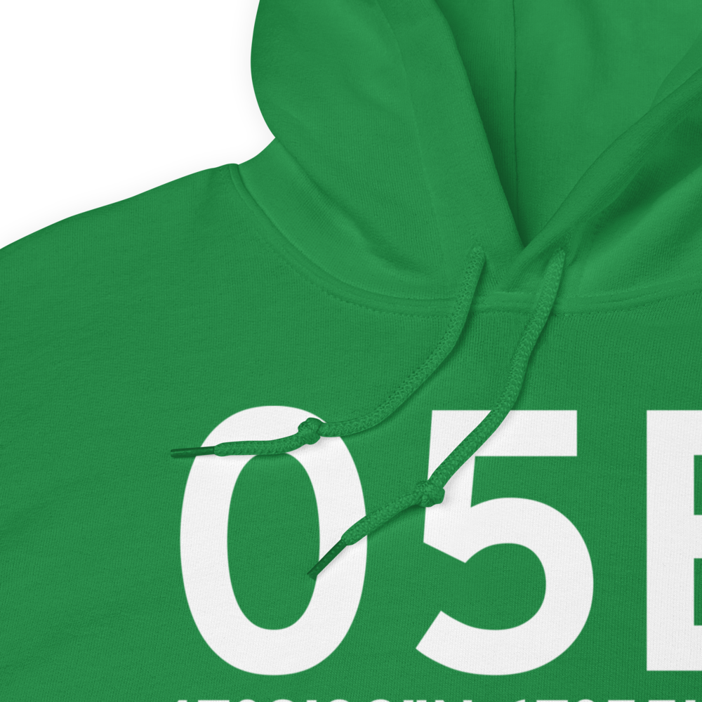 Van Buren (05B) Airport Hoodie Sweatshirt 