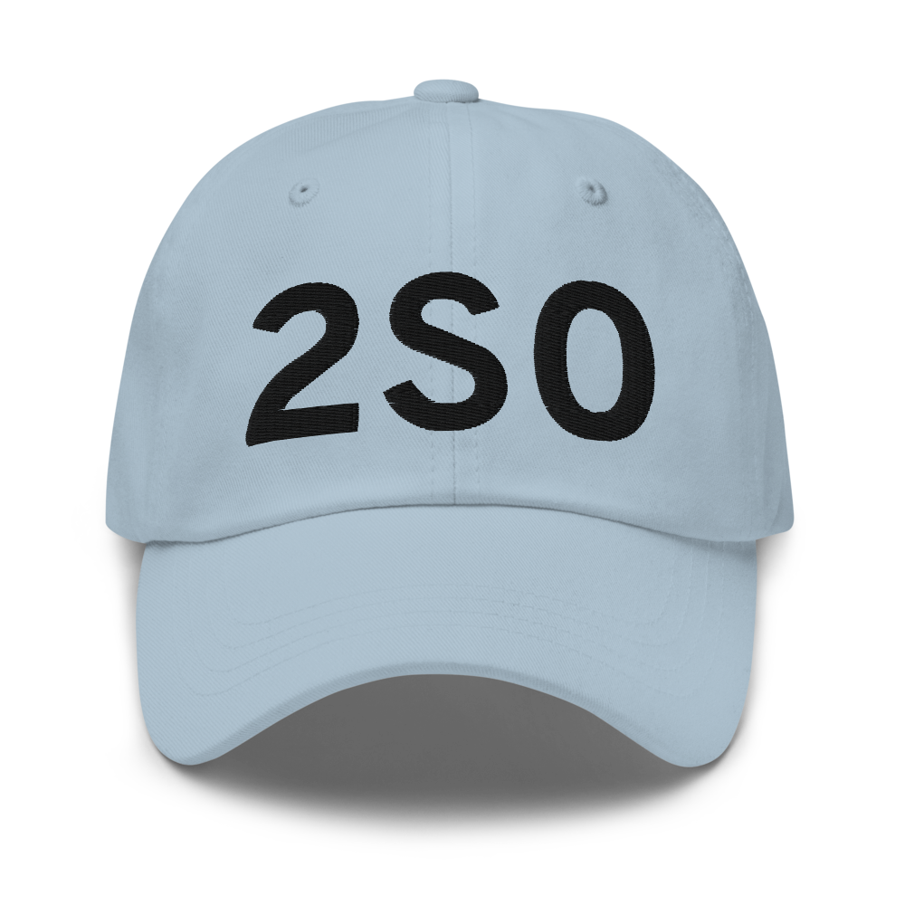 Twisp (2S0) Airport Hat 