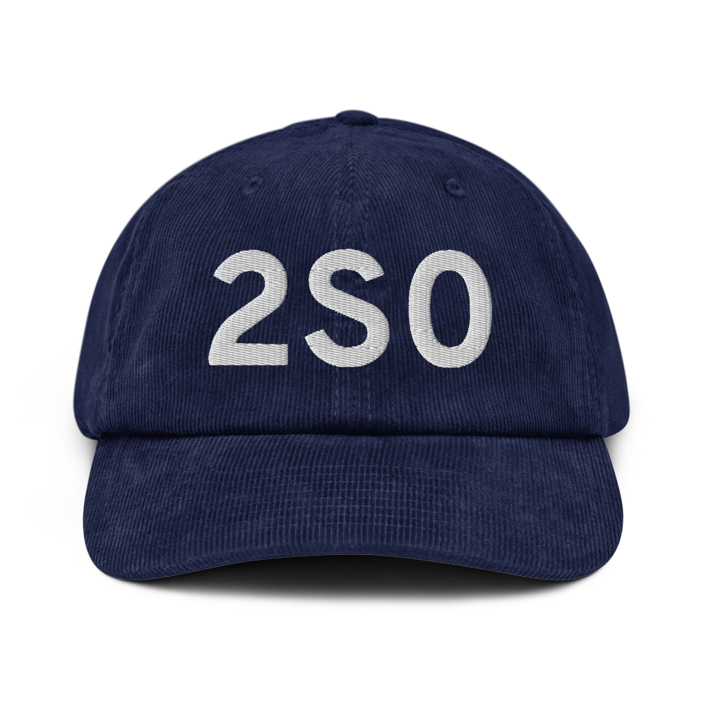 Twisp (2S0) Airport Hat 